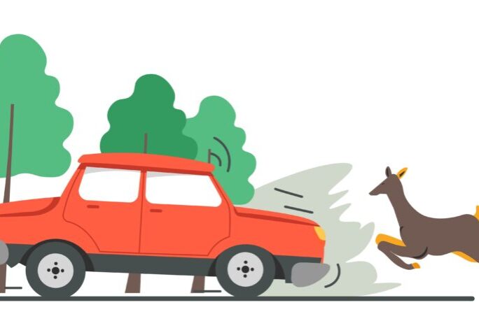 Vehicle hitting running deer from forest, car accident and damage to nature and wilderness. Crash and incident on road, roadkill of doe from woods. Transport and animal. Vector in flat style